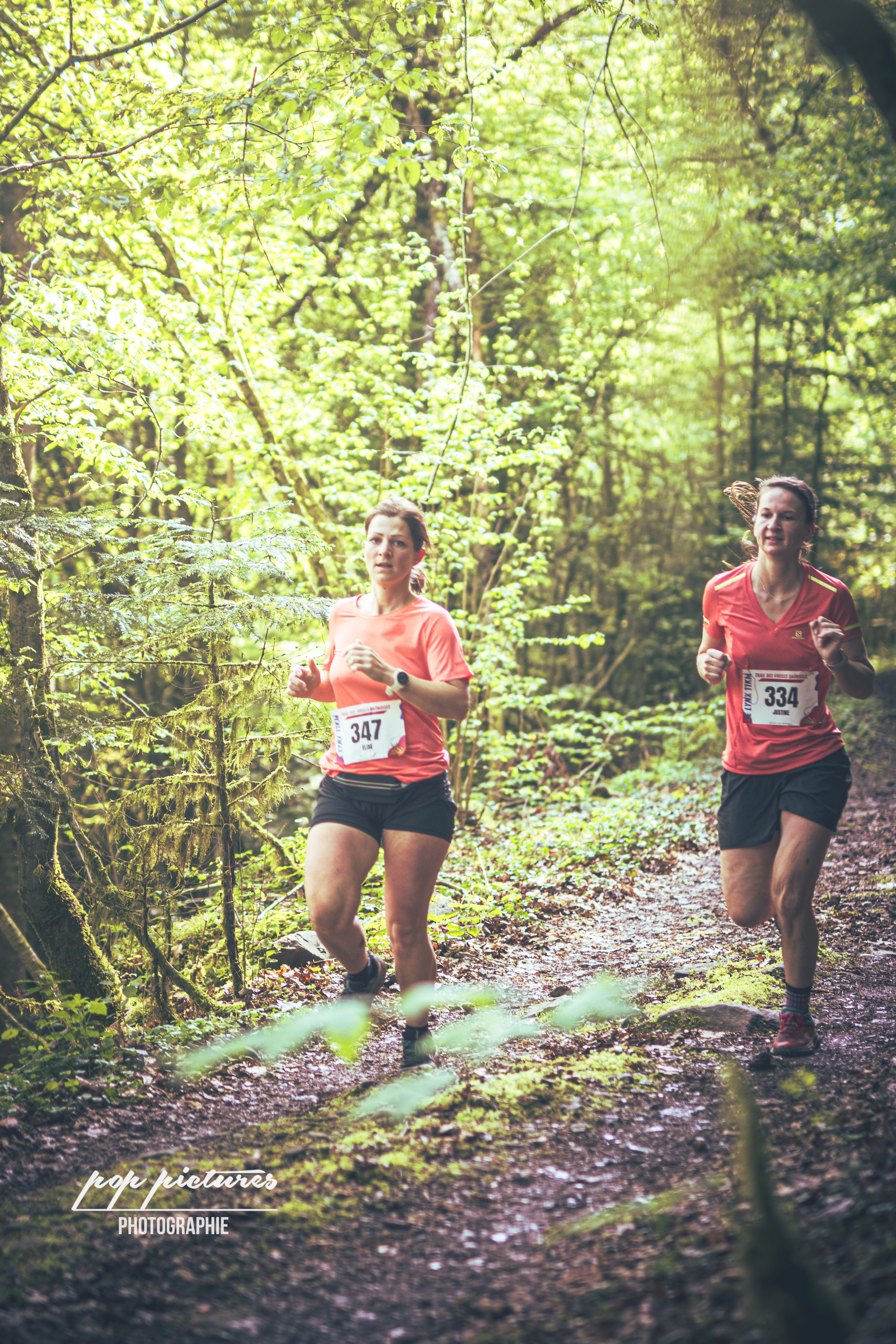 Image du trail